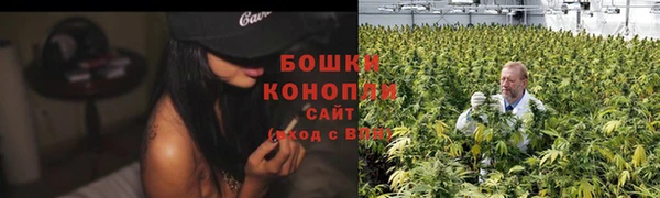 тгк Белокуриха
