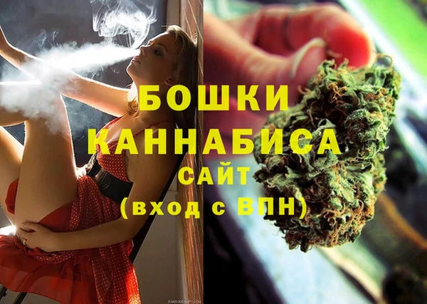 PSILOCYBIN Балахна