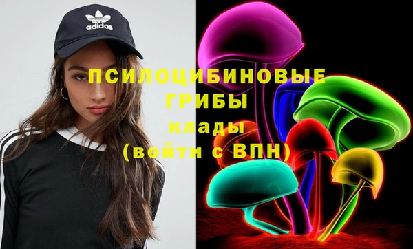 тгк Белокуриха