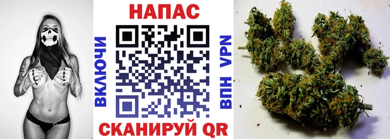 где найти наркотики  Боровичи  Бошки марихуана THC 21% 